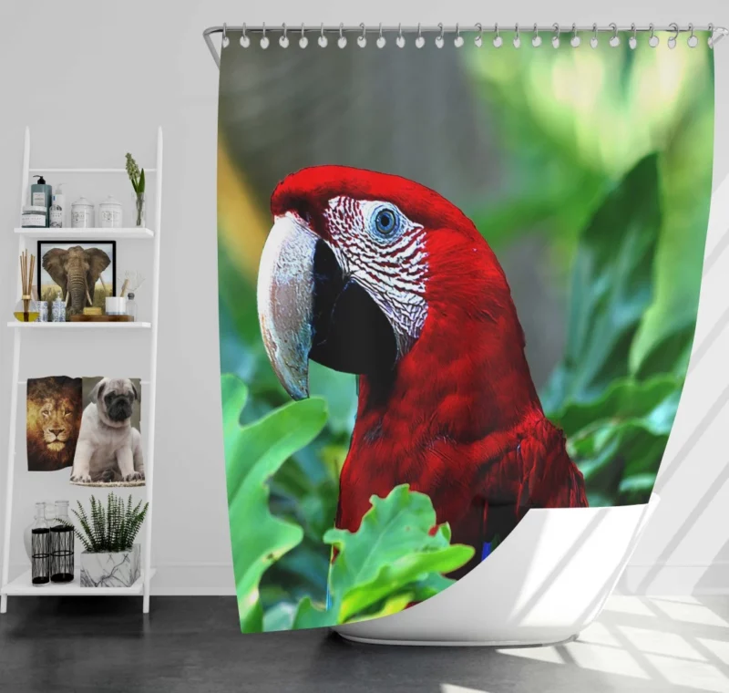 Red-and-green Macaw Vibrant Beauty Scarlet Delight Shower Curtain