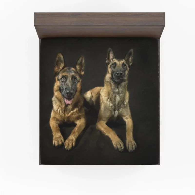 Regal German Shepherds Canine Majesty Fitted Sheet 1