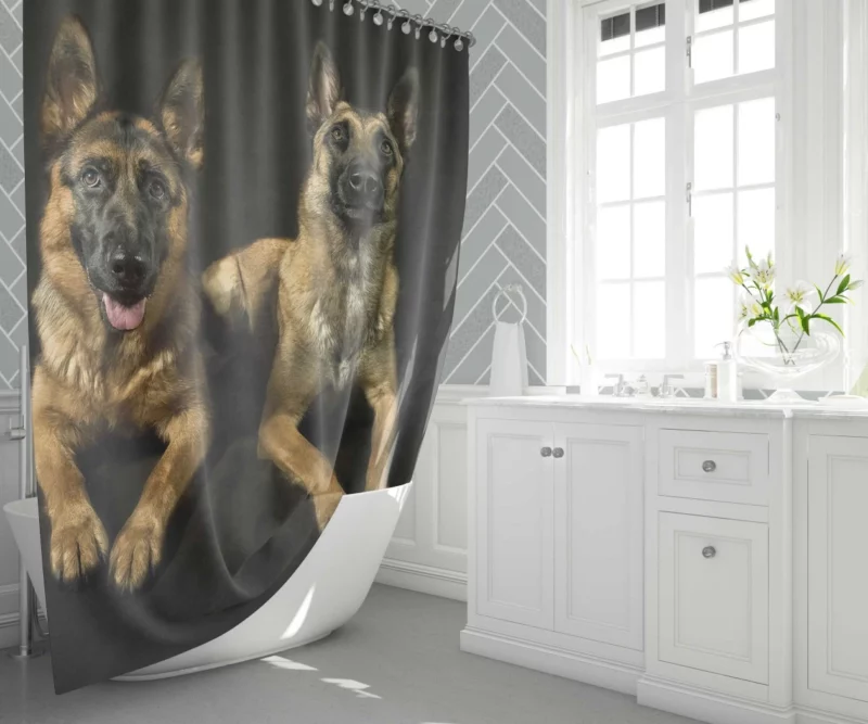 Regal German Shepherds Canine Majesty Shower Curtain 1