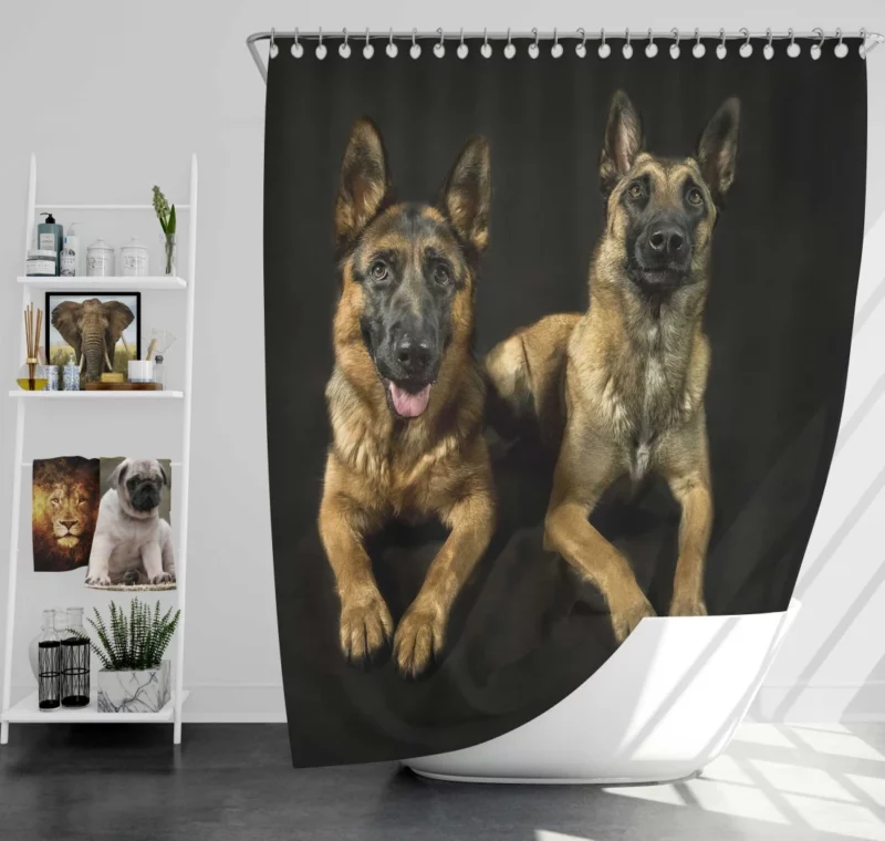 Regal German Shepherds Canine Majesty Shower Curtain