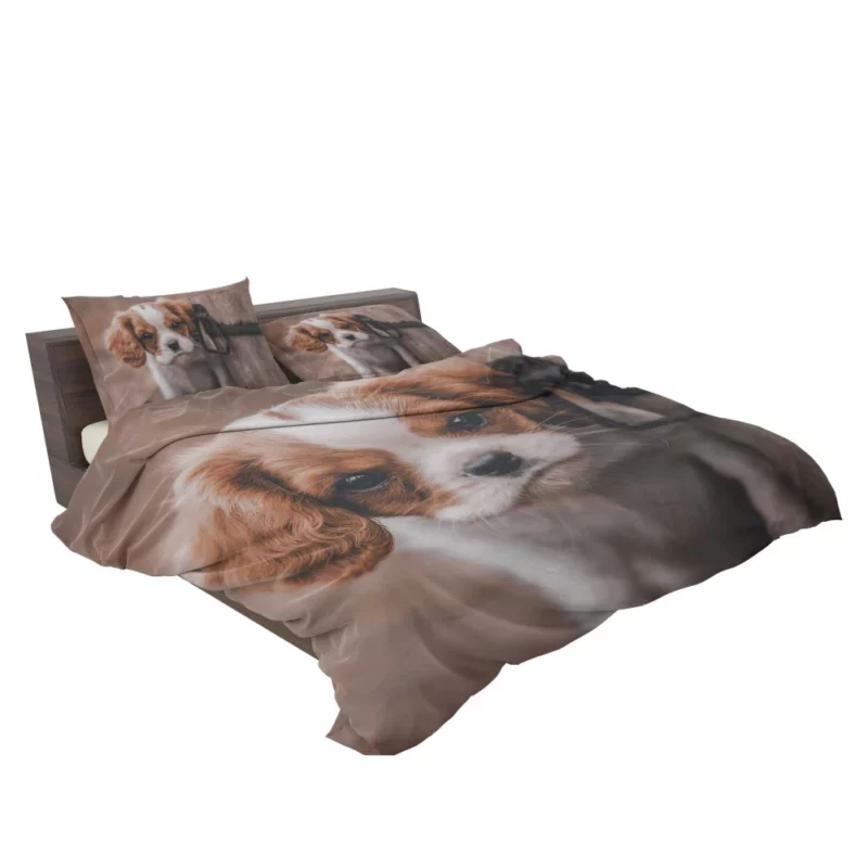 Regal King Charles Spaniel Bedding Set 2