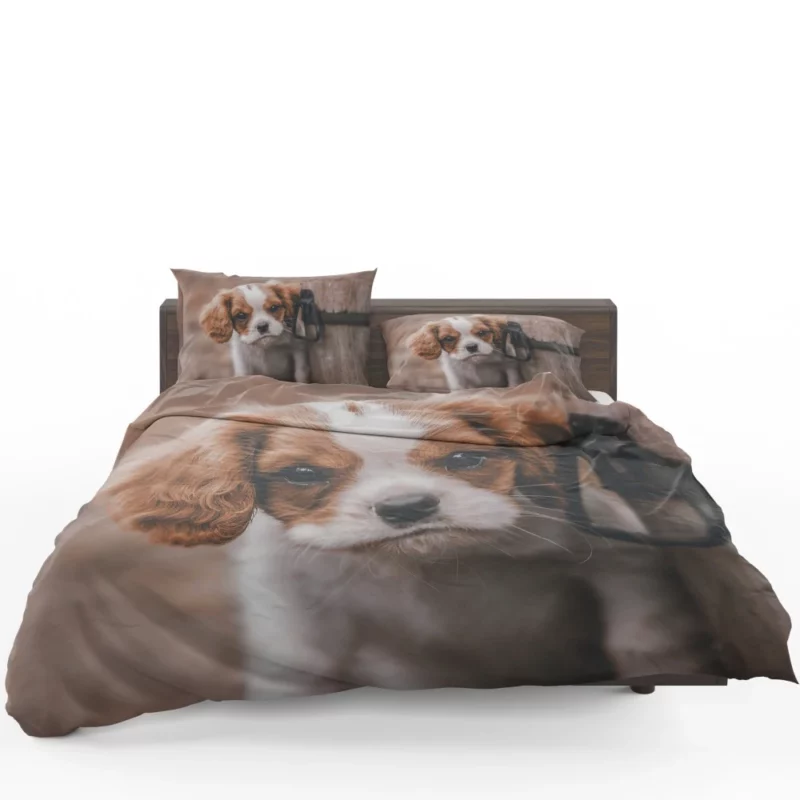 Regal King Charles Spaniel Bedding Set