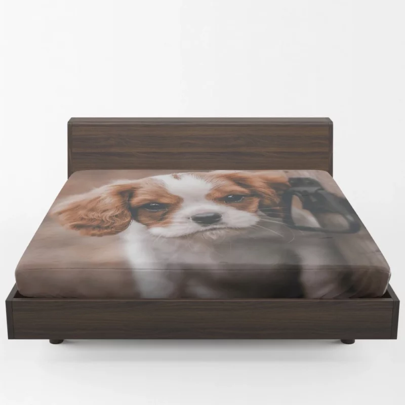 Regal King Charles Spaniel Fitted Sheet