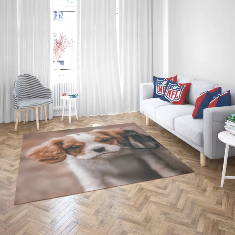 Regal King Charles Spaniel Rug 2