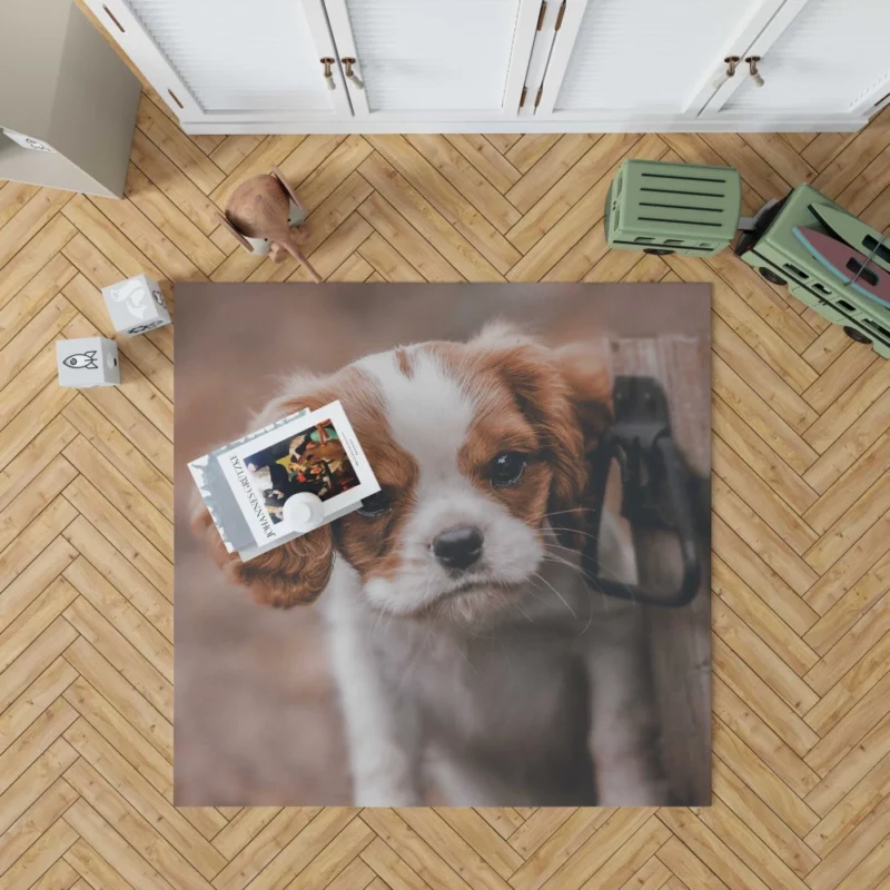 Regal King Charles Spaniel Rug