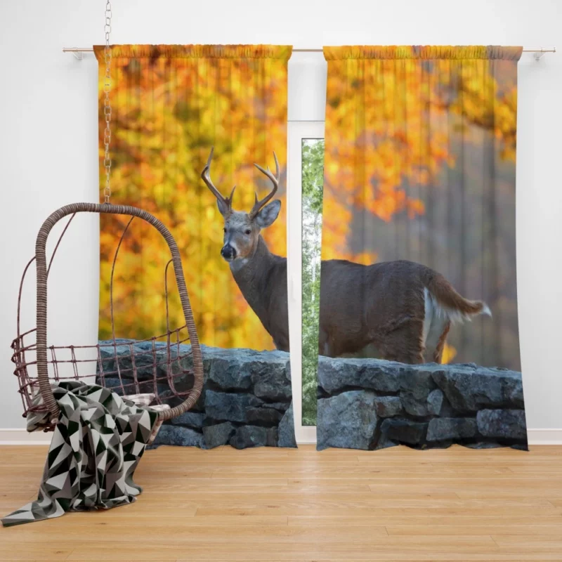 Regal Leopard Silent Majesty Curtain