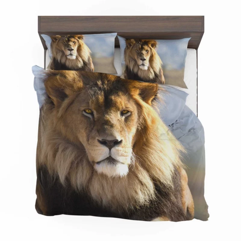 Regal Lion Dominance Wilderness Majesty Bedding Set 1