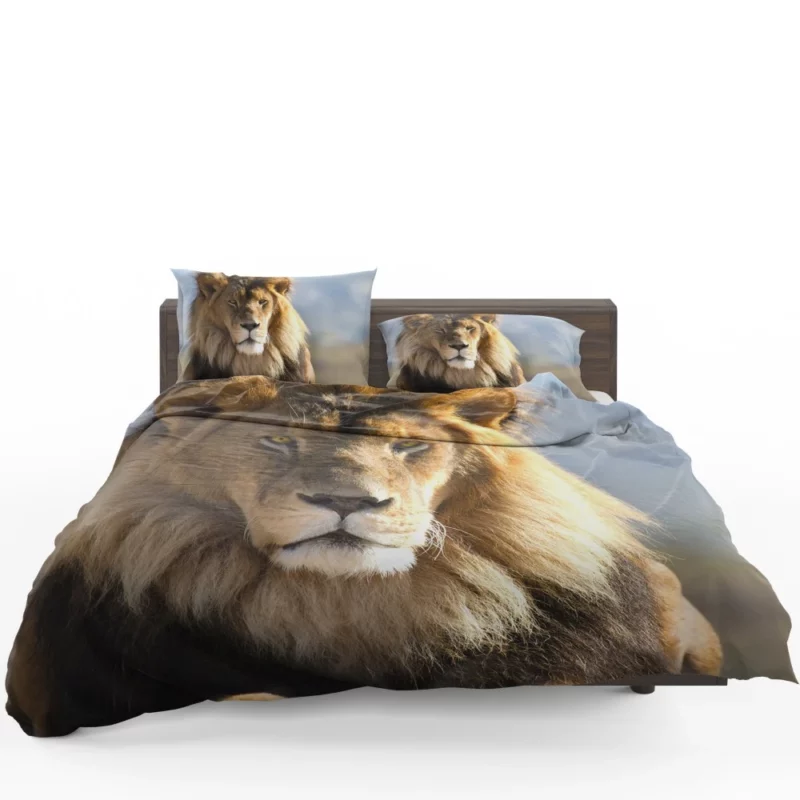 Regal Lion Dominance Wilderness Majesty Bedding Set