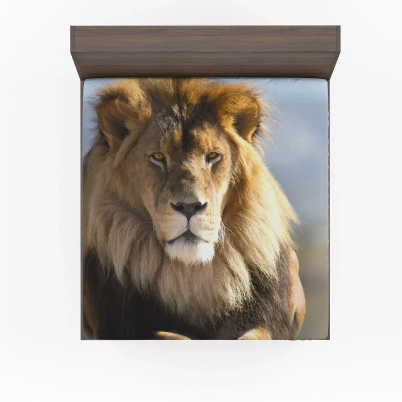 Regal Lion Dominance Wilderness Majesty Fitted Sheet 1