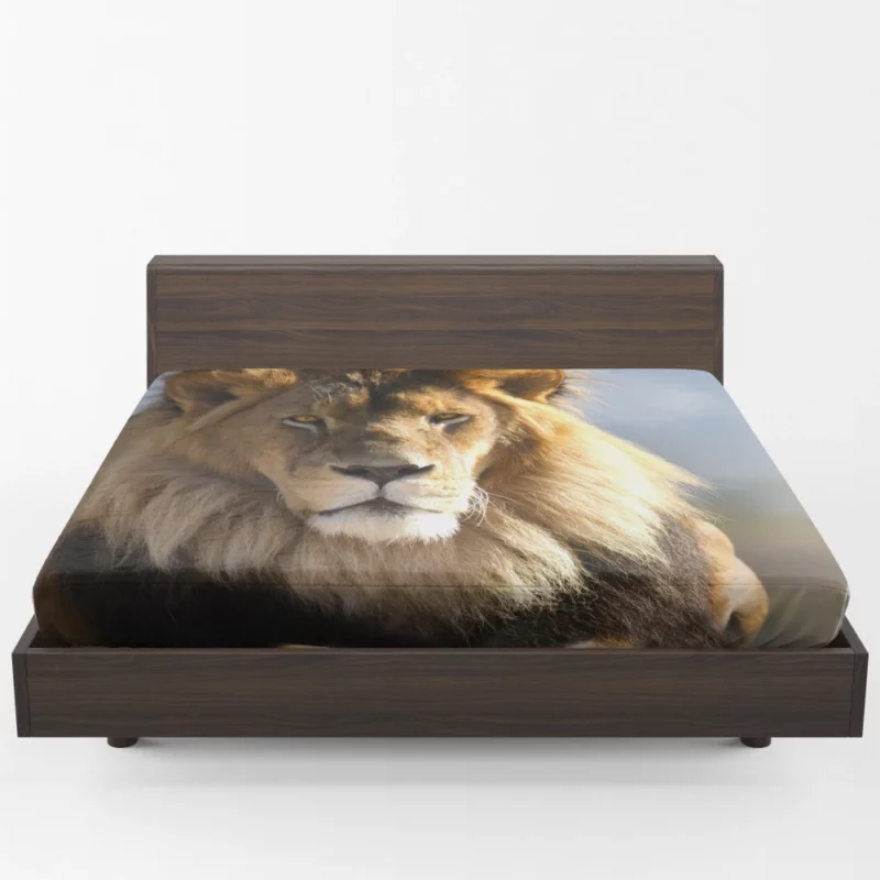 Regal Lion Dominance Wilderness Majesty Fitted Sheet