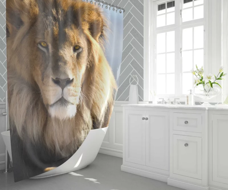 Regal Lion Dominance Wilderness Majesty Shower Curtain 1