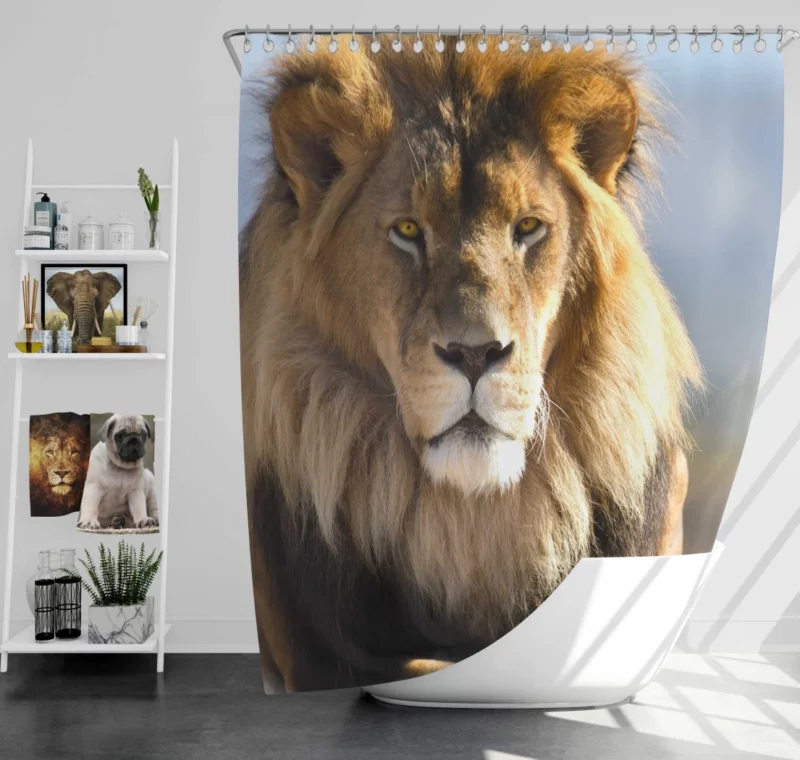 Regal Lion Dominance Wilderness Majesty Shower Curtain