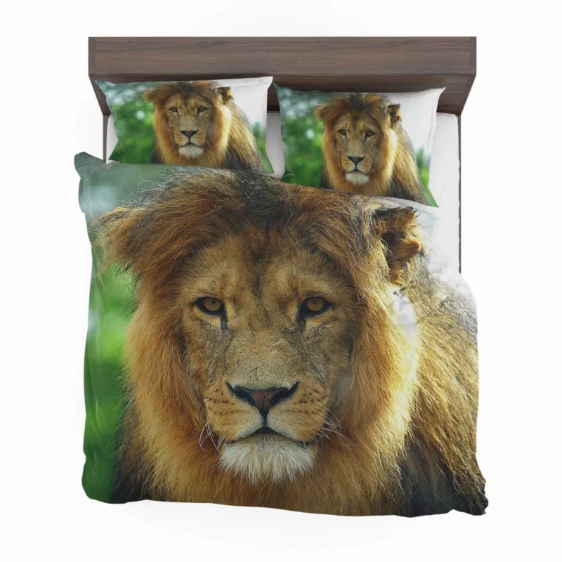 Regal Lion Expressive Face Majestic Presence Bedding Set 1