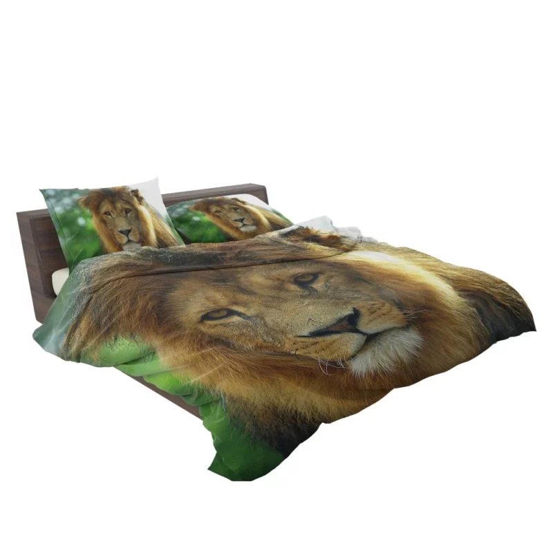 Regal Lion Expressive Face Majestic Presence Bedding Set 2