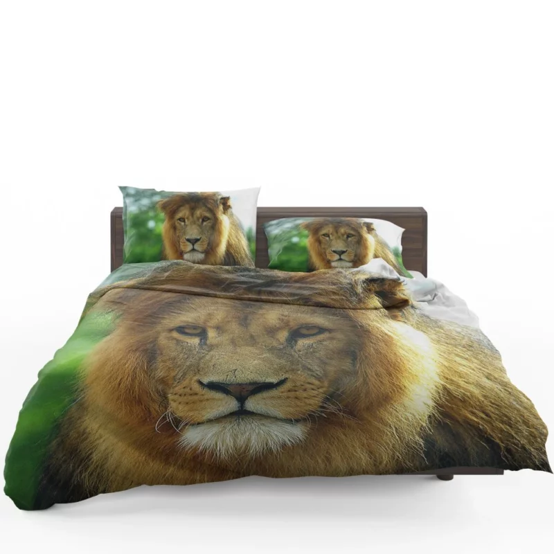 Regal Lion Expressive Face Majestic Presence Bedding Set