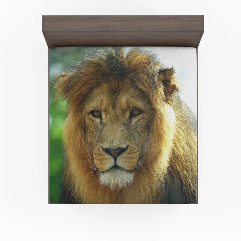 Regal Lion Expressive Face Majestic Presence Fitted Sheet 1