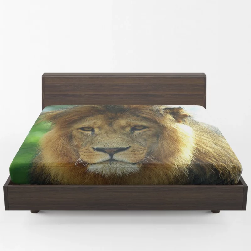 Regal Lion Expressive Face Majestic Presence Fitted Sheet