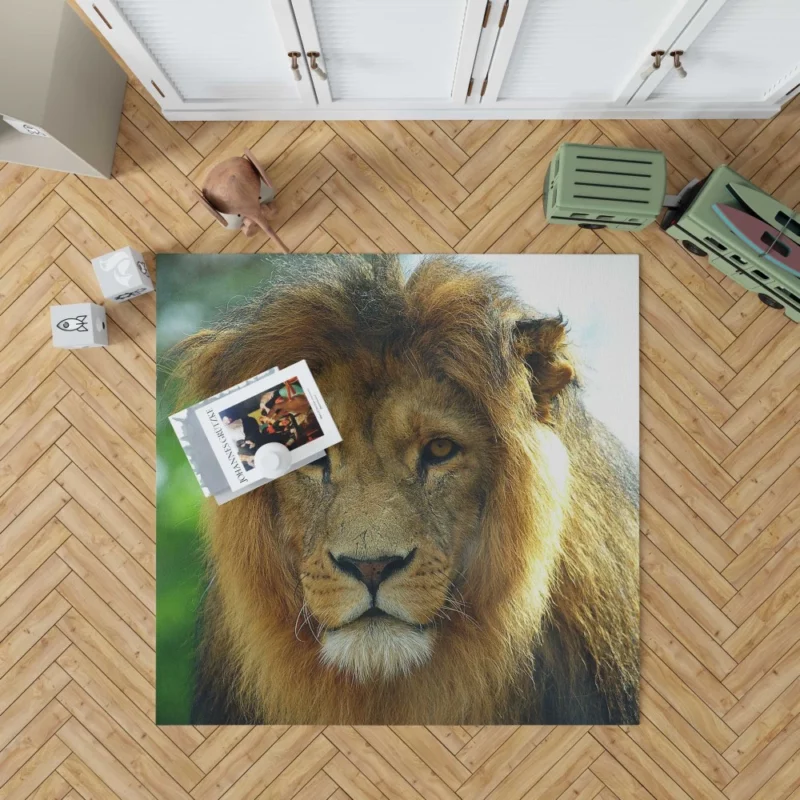 Regal Lion Expressive Face Majestic Presence Rug