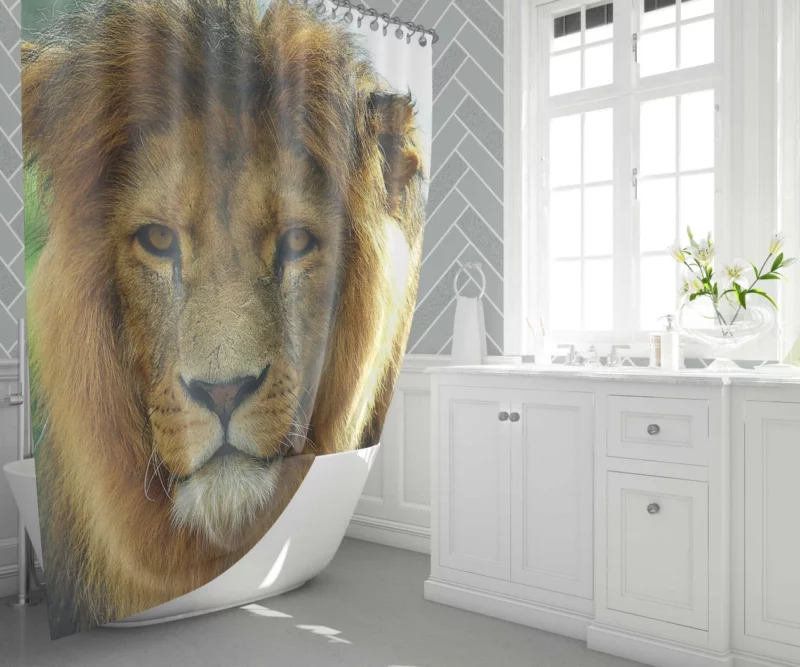 Regal Lion Expressive Face Majestic Presence Shower Curtain 1