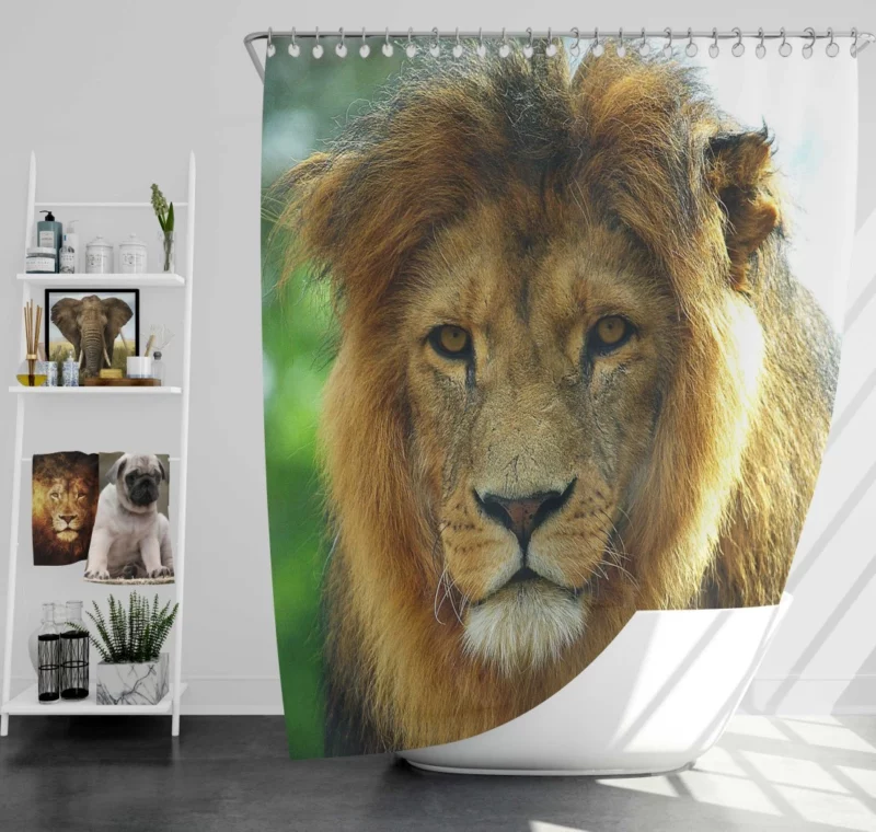 Regal Lion Expressive Face Majestic Presence Shower Curtain