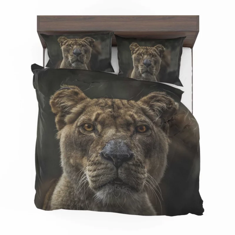 Regal Lion Gaze Wilderness Majesty Bedding Set 1