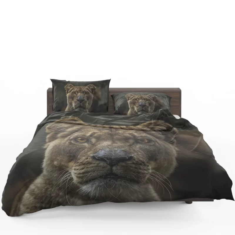 Regal Lion Gaze Wilderness Majesty Bedding Set