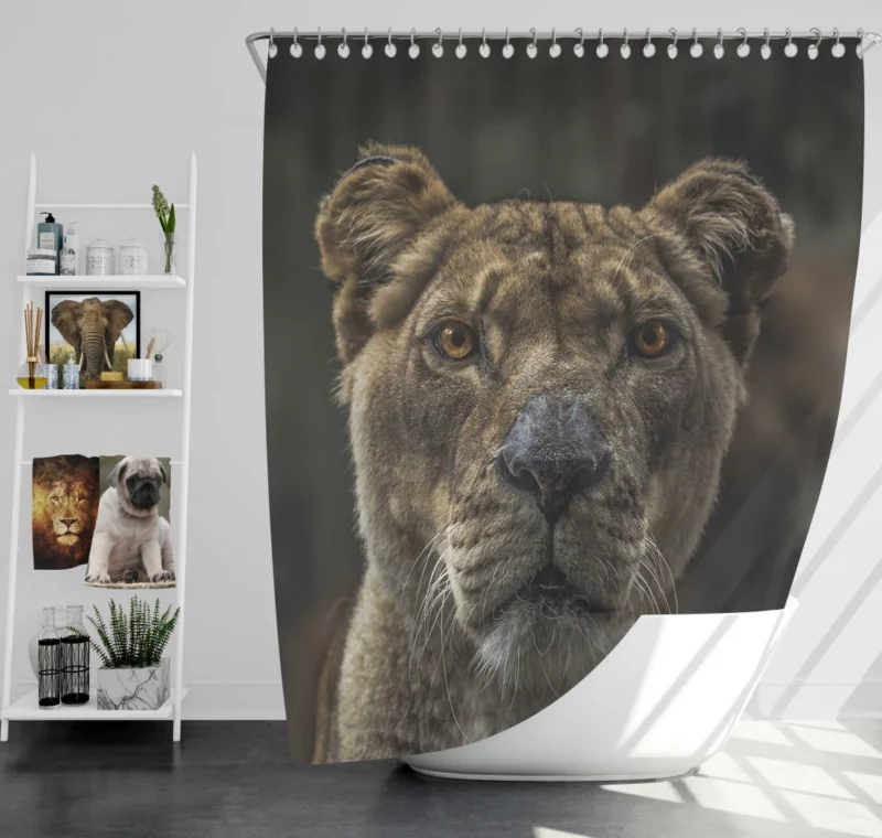 Regal Lion Gaze Wilderness Majesty Shower Curtain