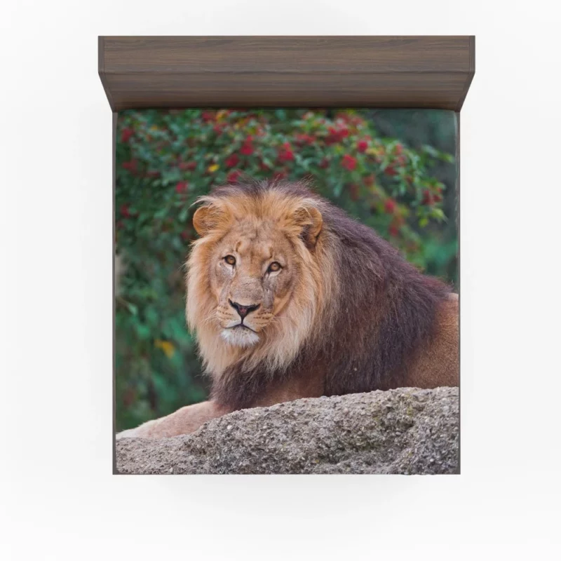 Regal Lion Monarch of Savannah Fitted Sheet 1