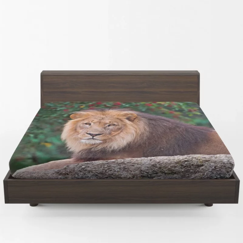 Regal Lion Monarch of Savannah Fitted Sheet