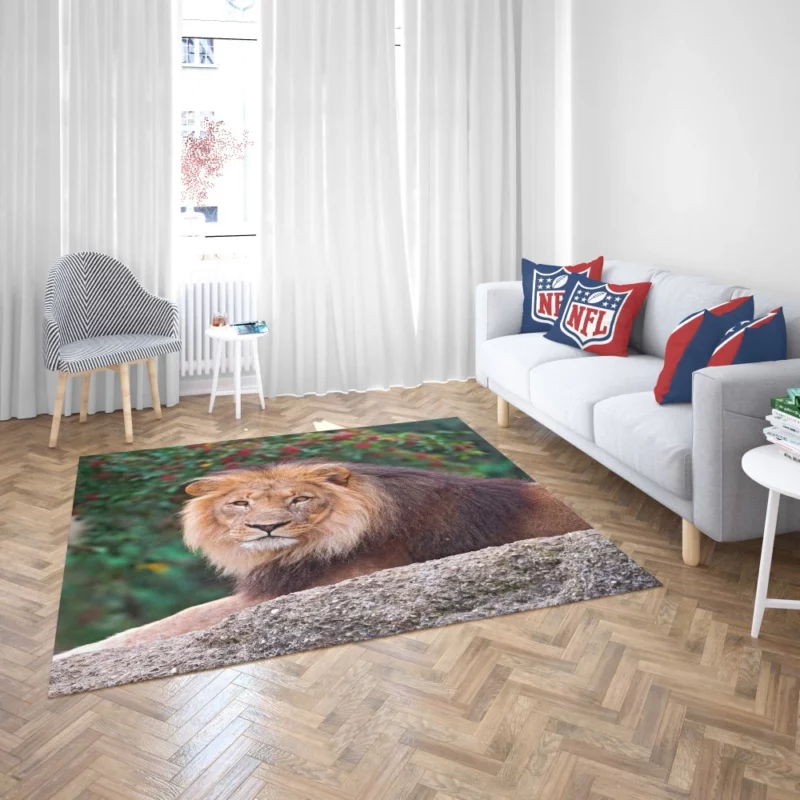 Regal Lion Monarch of Savannah Rug 2