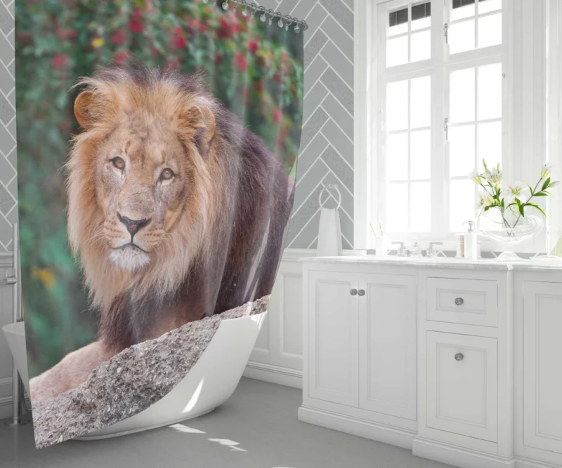 Regal Lion Monarch of Savannah Shower Curtain 1