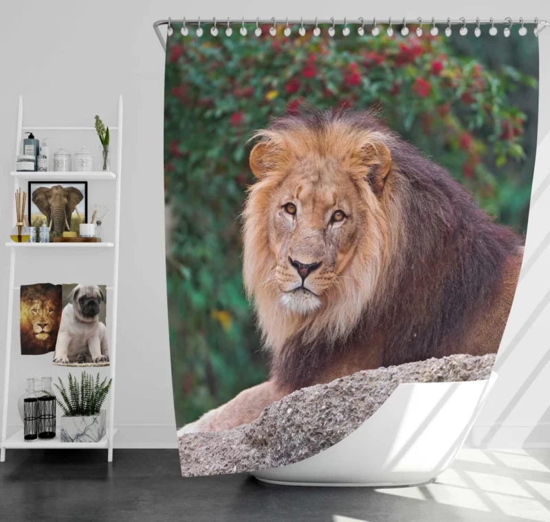 Regal Lion Monarch of Savannah Shower Curtain