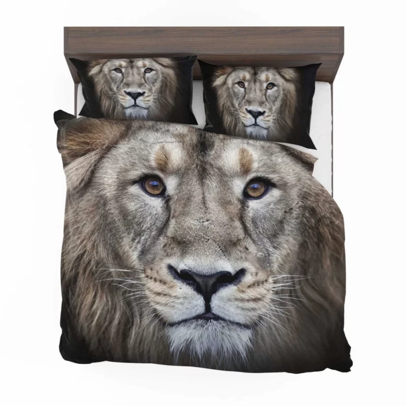 Regal Lion Monarch of the Savannah Bedding Set 1