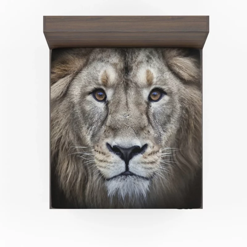 Regal Lion Monarch of the Savannah Fitted Sheet 1