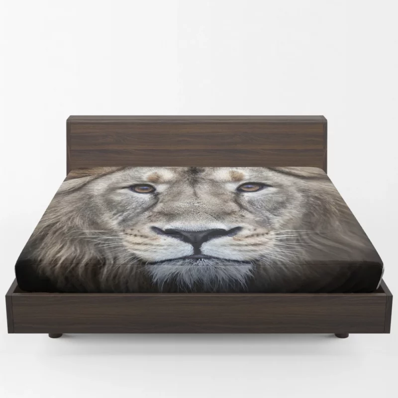 Regal Lion Monarch of the Savannah Fitted Sheet