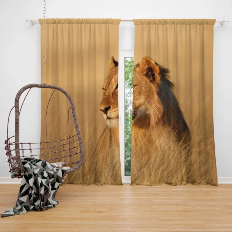 Regal Presence Lion Kingly Presence Curtain