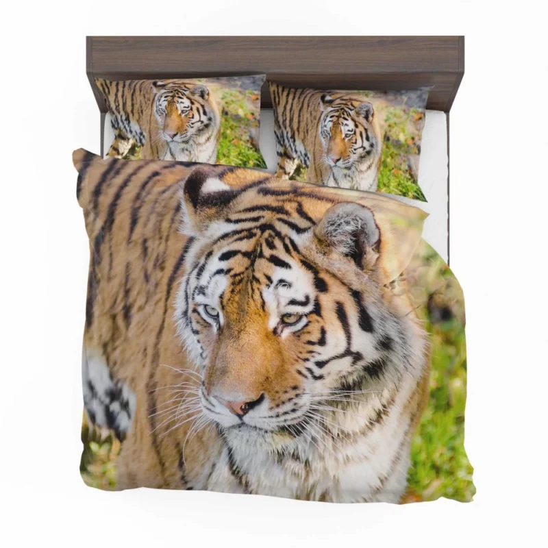 Regal Siberian Tiger Wilderness Majesty Bedding Set 1