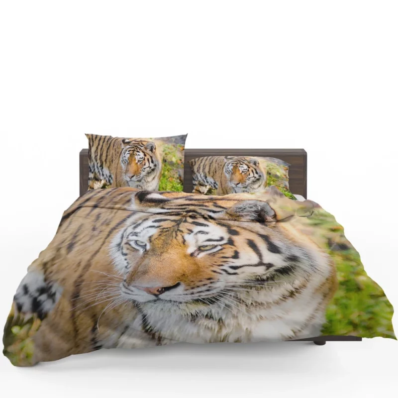 Regal Siberian Tiger Wilderness Majesty Bedding Set