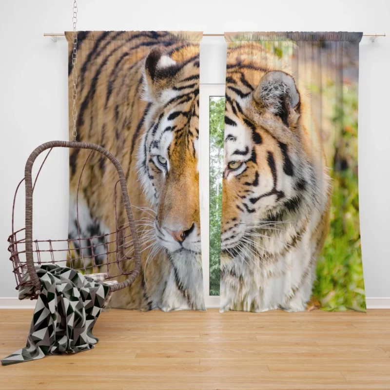 Regal Siberian Tiger Wilderness Majesty Curtain