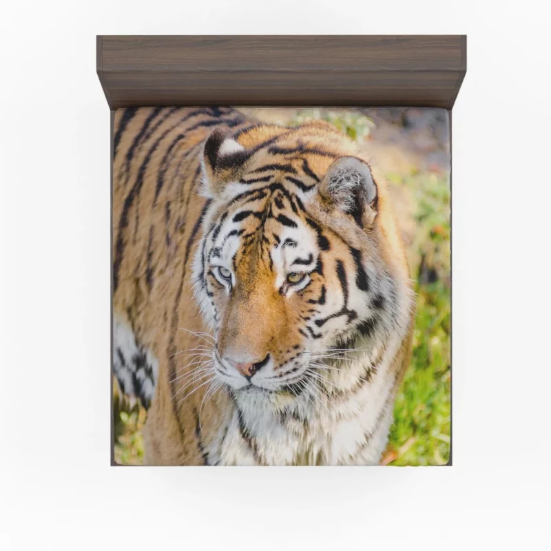 Regal Siberian Tiger Wilderness Majesty Fitted Sheet 1