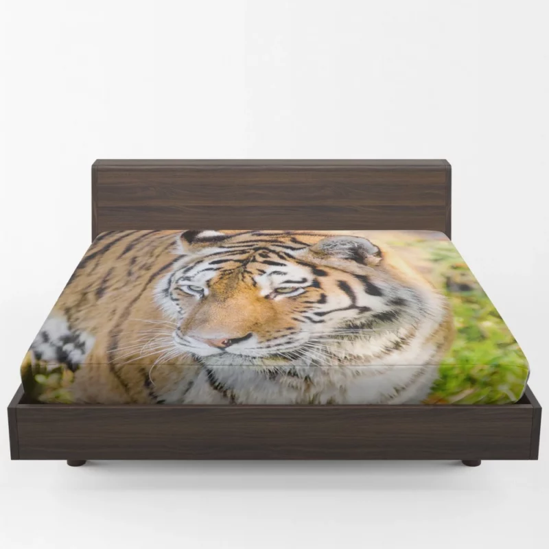 Regal Siberian Tiger Wilderness Majesty Fitted Sheet