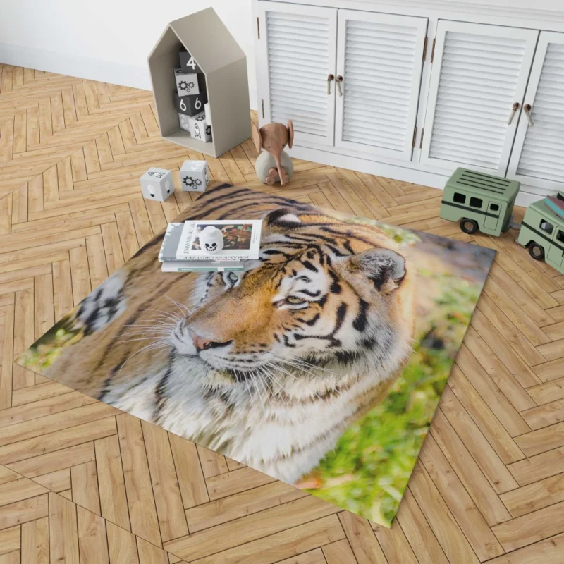 Regal Siberian Tiger Wilderness Majesty Rug 1