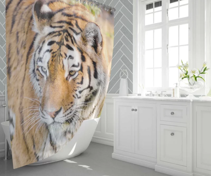 Regal Siberian Tiger Wilderness Majesty Shower Curtain 1