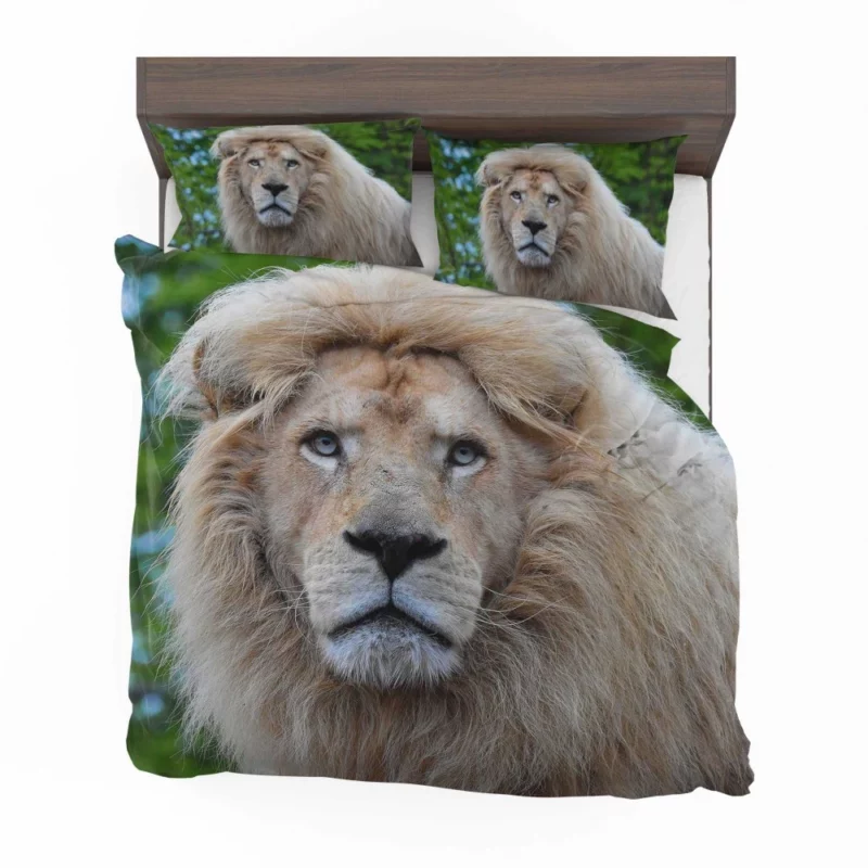 Regal Stance Lion Bedding Set 1