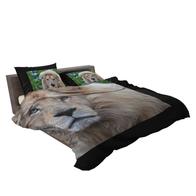 Regal Stance Lion Bedding Set 2