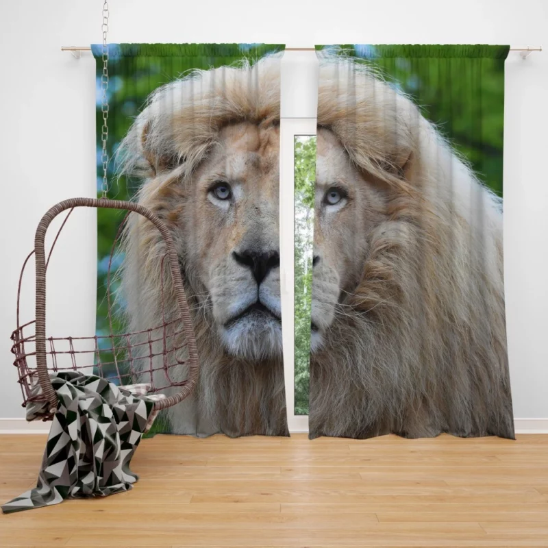 Regal Stance Lion Curtain