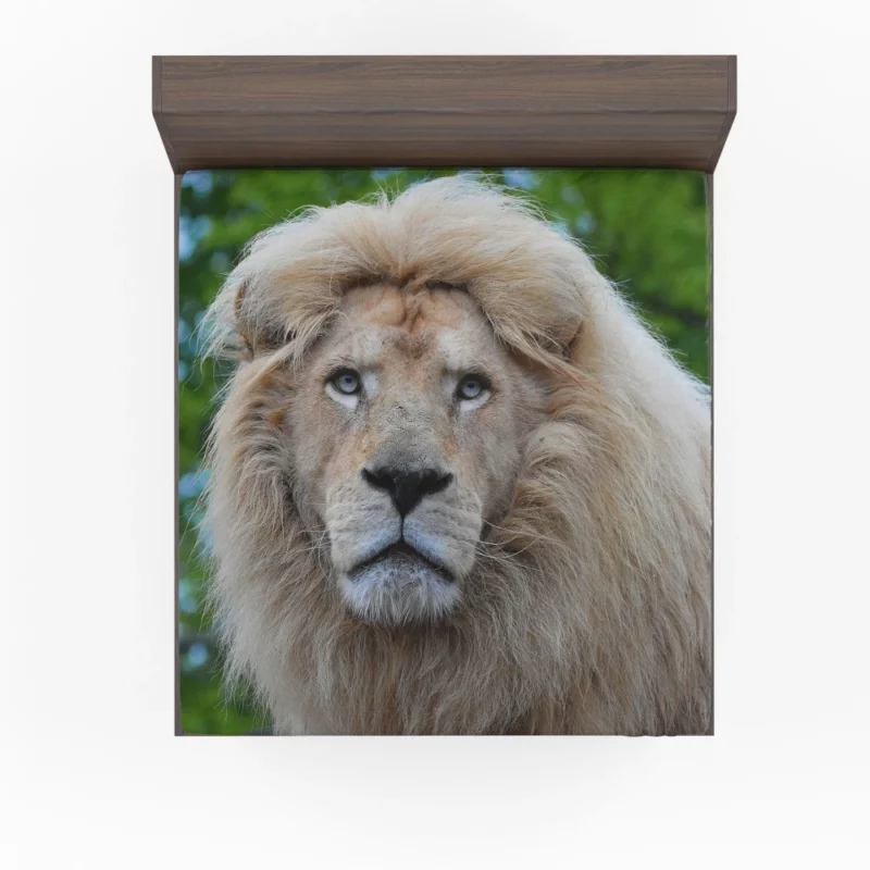 Regal Stance Lion Fitted Sheet 1