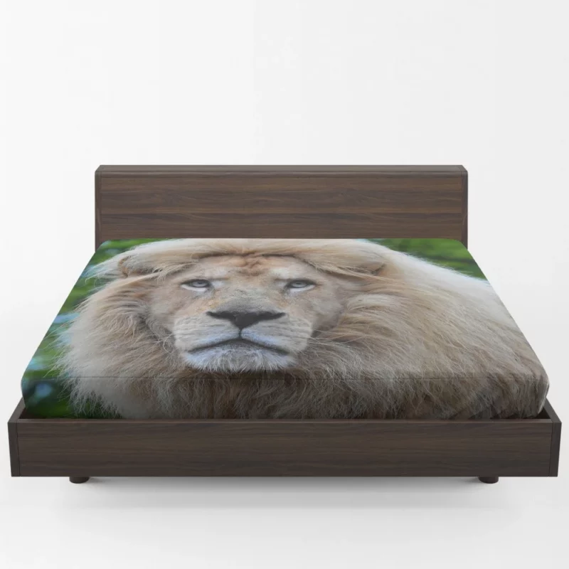 Regal Stance Lion Fitted Sheet