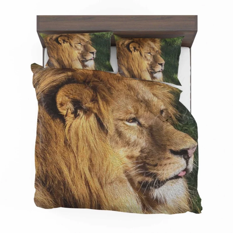 Regal Stance Lion Kingly Presence Bedding Set 1