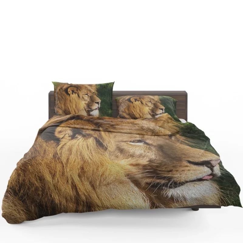 Regal Stance Lion Kingly Presence Bedding Set